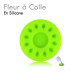 Fleur à Colle