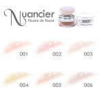 Poudre Éclat Nacré - Sun Institute blush maquillage pas cher lumière visage minéral