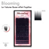 Blooming 0.06