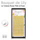 Bouquets de Lily pour Volume Russe, Fans Préfaits pour une Pose d'Extension de Cil Ultra Rapide