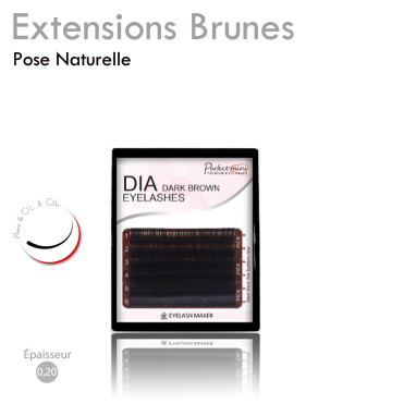 Mini Palette de Cil Brun pour un Cil à Cil effet Naturel