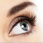 RéOCils - Lotion Nourrissante pour Réhaussement de Cils