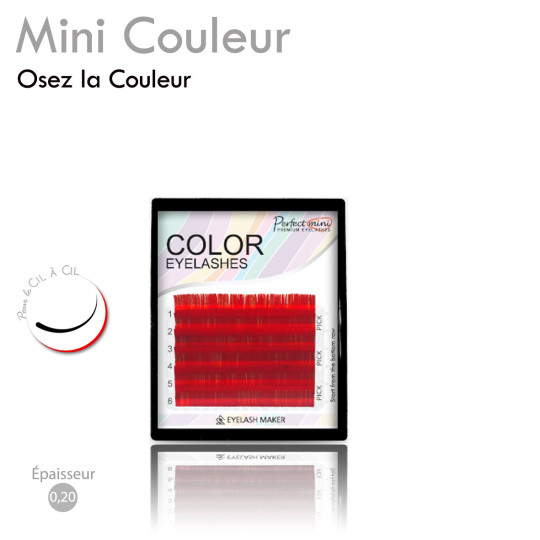 Mini Palette de Cil couleur pour un Cil à Cil Fantaisie et Original