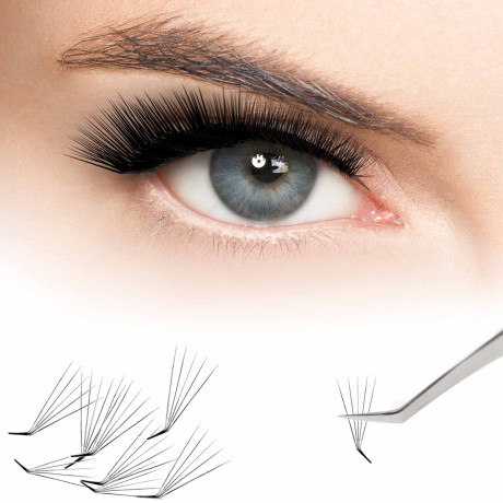 FanUp Box : Une boite de bouquets préfaits 6D pour Extension de Cils Fox Eyes, toutes les longueurs de fans en courbure L