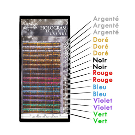 Palette Hologramme Extension de Cils Fantaisie et Pailletées  pour les Fêtes