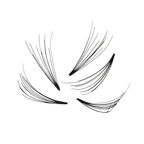 Bouquets Préfaits Mégamizer 10D en boîte pour l'Extension de Cils Volume Russe prêt à poser , des Fans toujours Parfaits