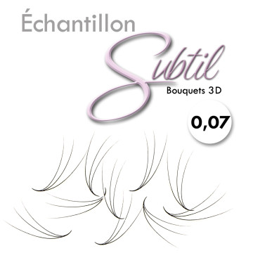 Une boite d'échantillon d'extensions de cils 3D