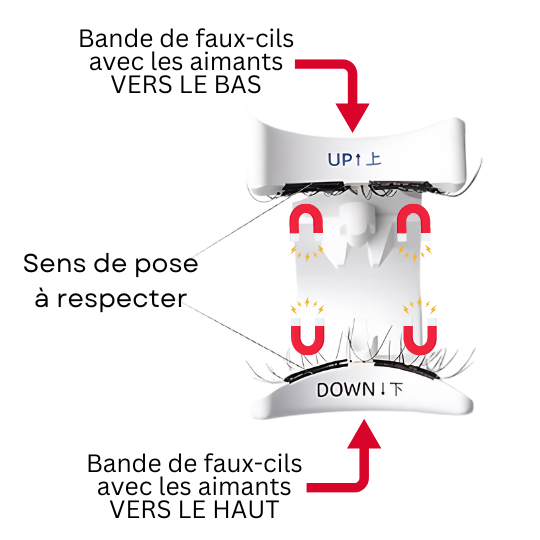 Faux Cils Magnétique.png